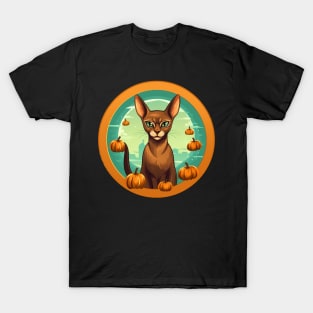 Abyssinian Cat Halloween, Cat Lover T-Shirt